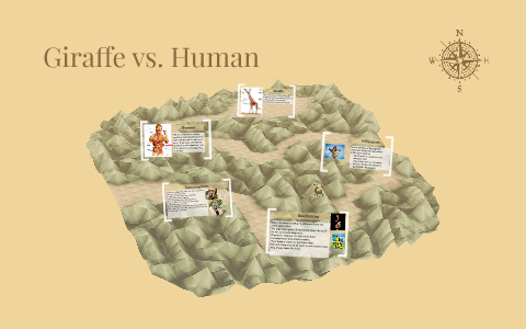 Giraffe vs. Human by Samantha Guerrero