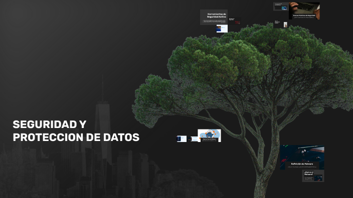 SEGURIDAD Y PROTECCION DE DATOS by javier Alamo on Prezi