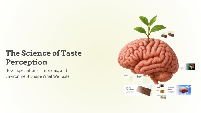 The Science of Taste Perception by Mohamed Ahmed on Prezi