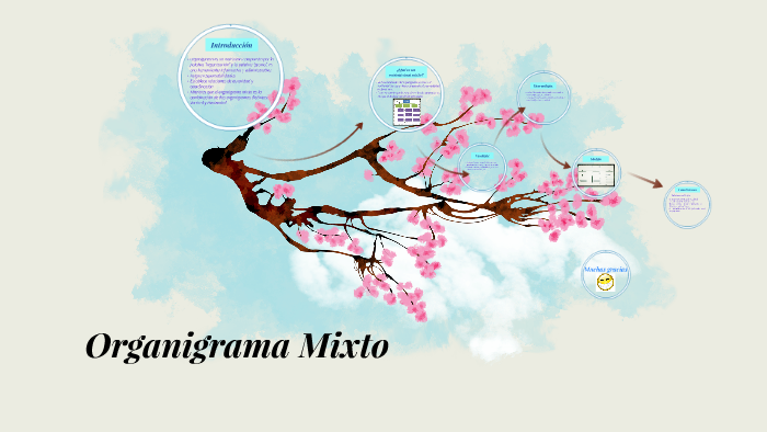 Organigrama Mixto By Ignacia Medina On Prezi Next