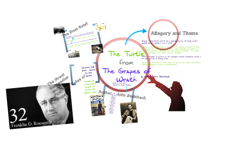 grapes of wrath turtle essay