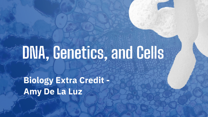 DNA, Genetics, and Cells by Amy De La Luz on Prezi