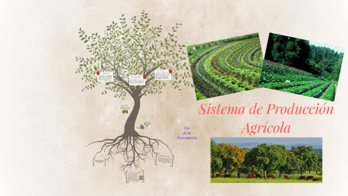 Sistema de Producción Agrícola by rodrigo alfonzo on Prezi