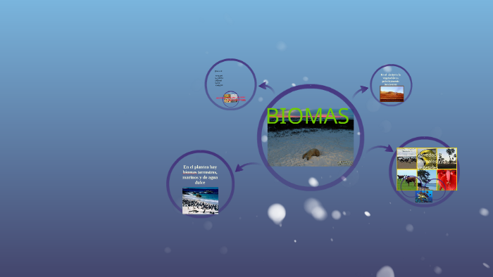 Biomas by Cecilia Soba on Prezi