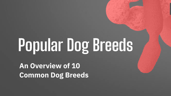 Popular Dog Breeds by Aubrey Ferrer on Prezi