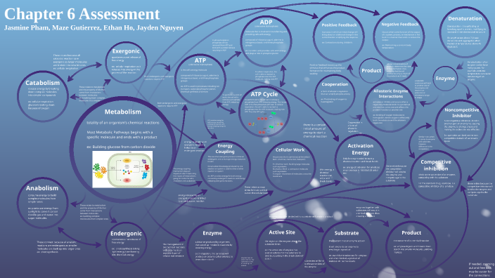 chapter 6 assessment by Ethan Ho on Prezi