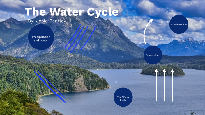 The Water Cycle by Josinette Bentley on Prezi