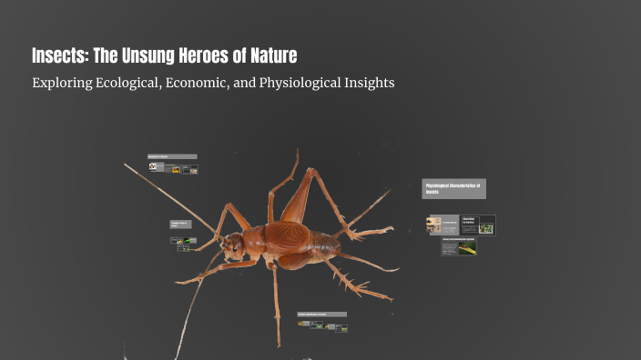 Oona Insect Insects: The Unsung Heroes of Nature by Oona Meersman on Prezi
