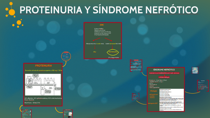 proteinuria de bajo peso molecular y diabetes proteinuria de bajo peso molecular y diabetes