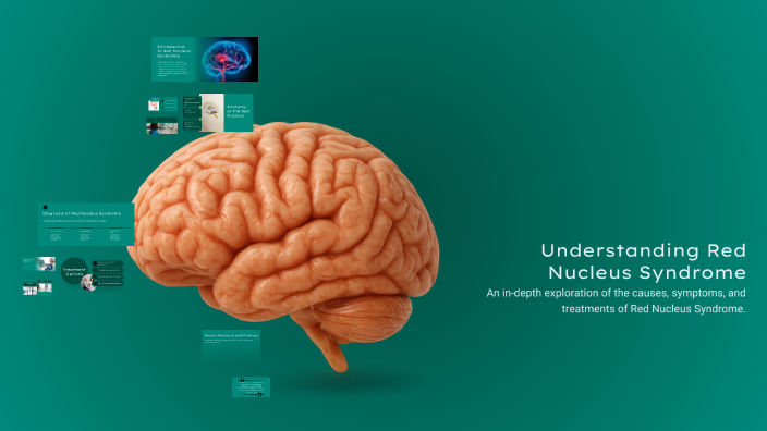 Understanding Red Nucleus Syndrome by Poula Ayman on Prezi