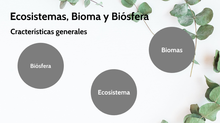 Ecosistemas Bioma Y Biósfera By Xochitl Soriano Tejeda On Prezi 6010