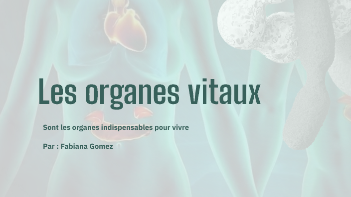 Les organes vitaux by J Gomez Up on Prezi
