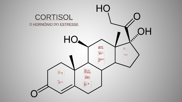 Cortisol O HormÔnio Do Estresse By Gabriela Albuquerque On Prezi 9303