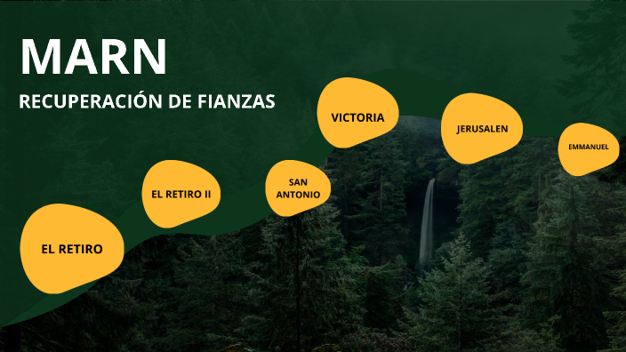 FIANZAS AMBIENTALES by Amelia Salazar on Prezi