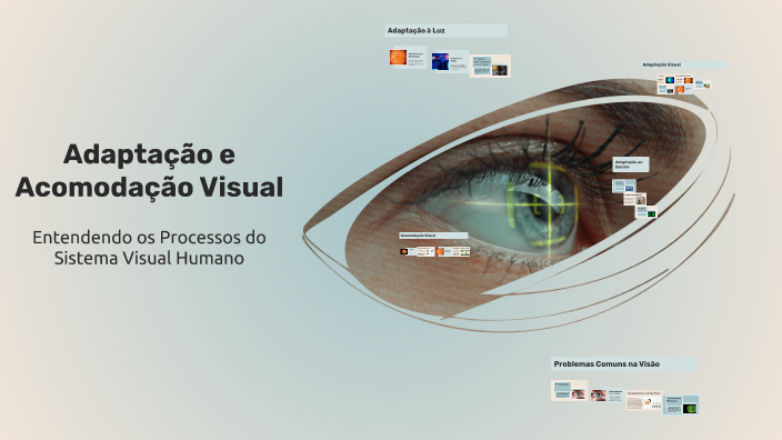 Adaptação e Acomodação Visual by Thauenya Santos on Prezi