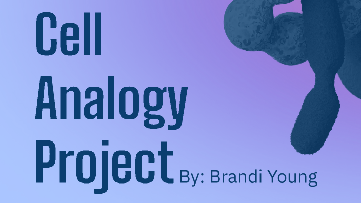 Cell Analogy Project By Brandi Young On Prezi 5717