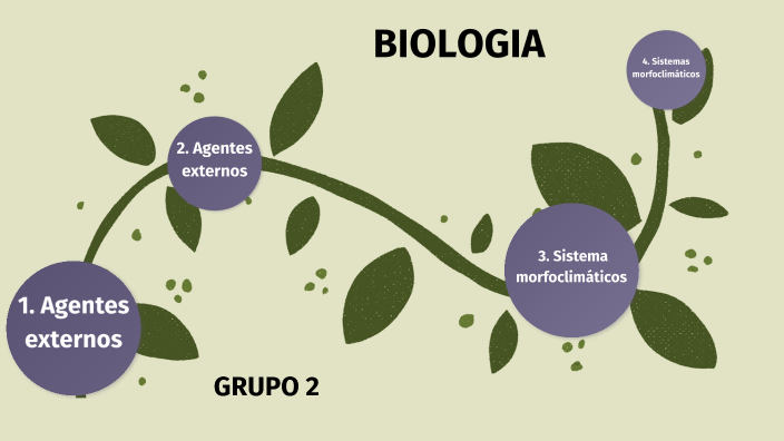 Trabajo biologia by Marcos Infantes Huerta on Prezi