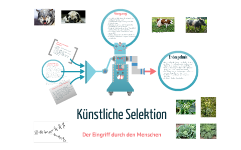 blumenkästen auf fensterbrett befestigen Blumenkastenhalterung für die Fensterbank
