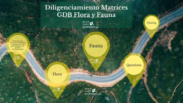 Diligenciamiento Matrices Flora Y Fauna by Johanna Duarte López