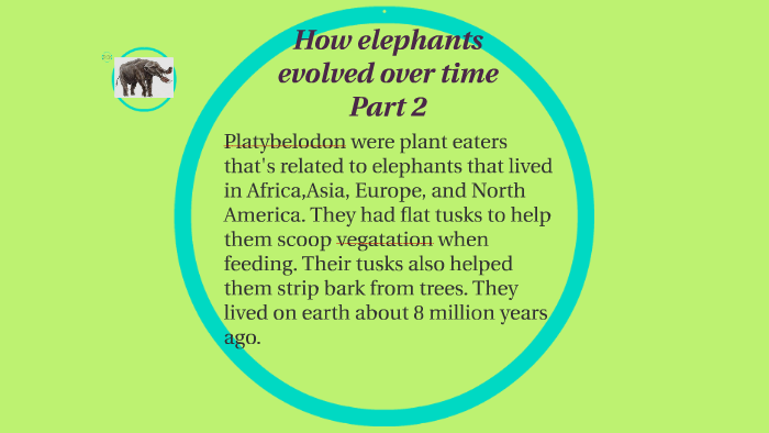 How elephants evolved over time Part 2 by tierra whalen on Prezi