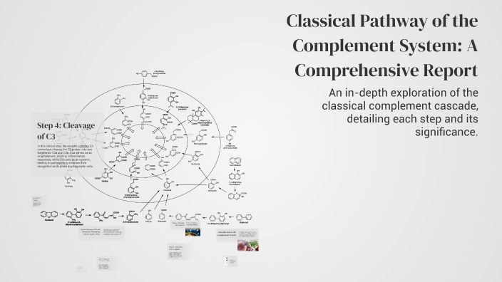 Classical Pathway of the Complement System: A Comprehensive Report by ...