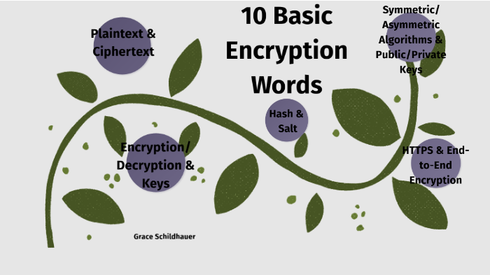 10 Basic Encryption Words by Grace E Schildhauer on Prezi