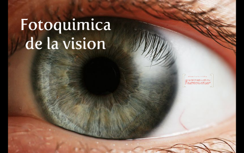 Fotoquimica de la vision. by Gerardo Ramírez on Prezi