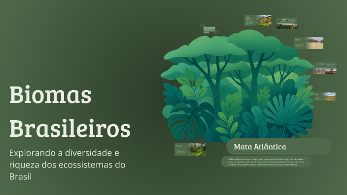 Biomas Brasileiros by Elizete de Jesus Elizete de Jesus on Prezi