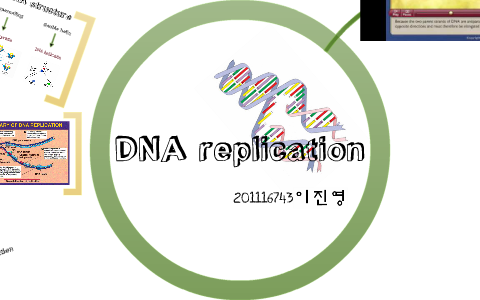 DNA replication by Lee Jin young on Prezi
