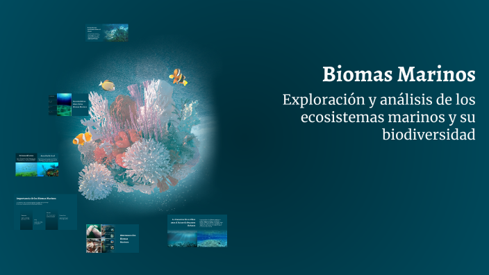 Biomas Marinos by Suzet Fuentes on Prezi