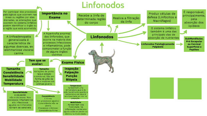 linfoadenopatia femorale