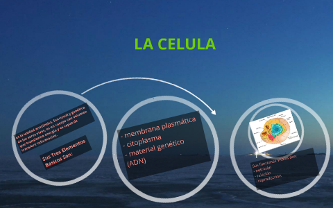LA CELULA by LIZ ESCOBAR on Prezi