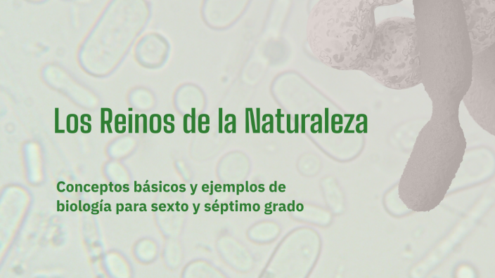 Los Reinos de la Naturaleza by sandra giraldo on Prezi