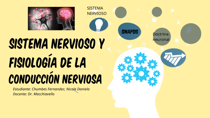 Fisiología de la conducción nerviosa by Nicole Chumbes Fernandez on Prezi