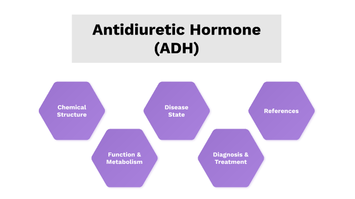 Antidiuretic Hormone By Yamile Monroy