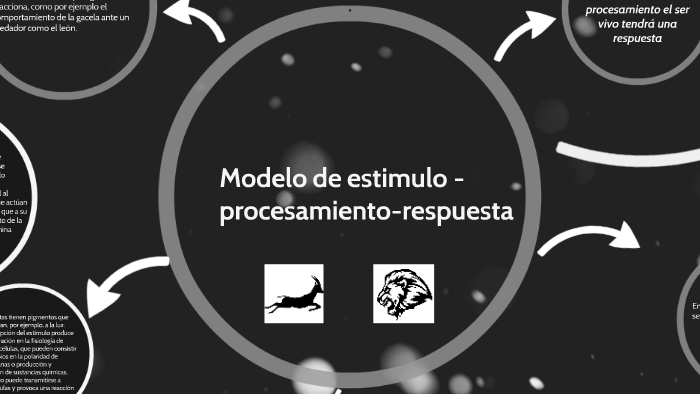 Modelo de estimulo - proceasamientoa-respuesta by Micaela Victtorioso