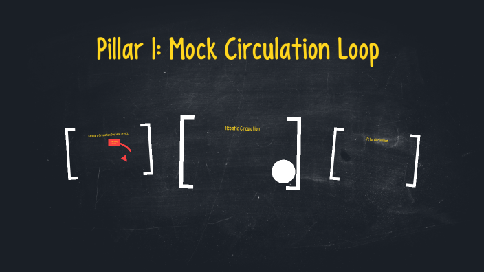 Pillar 1: Mock Circulation Loop by Jordan Frethem on Prezi