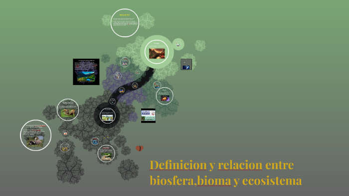 Definicion Y Relacion Entre Biosferabioma Y Ecosistema By Sergio Reina On Prezi 0648