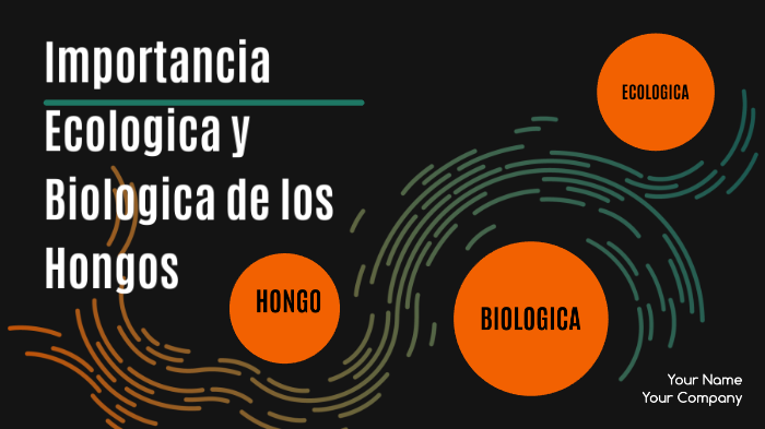 Importancia Biologica Y Socioeconomica De Los Hongos prezi.com