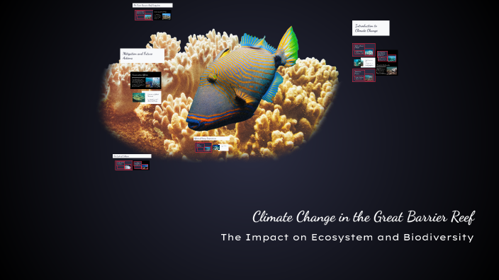 Climate Change in the Great Barrier Reef by Sophia Ihlenfeldt on Prezi