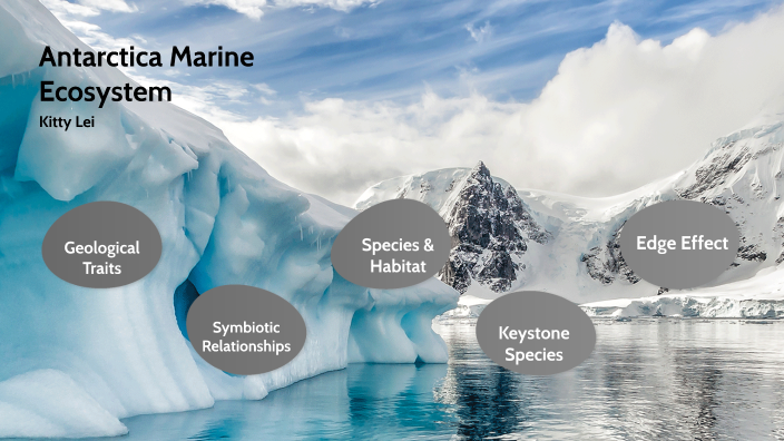 Antarctica ecosystem by Kitty Lei on Prezi