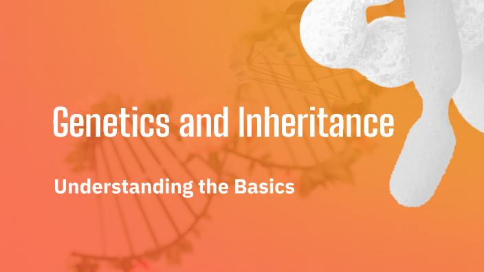Genetics and Inheritance by Irfan Ahmed on Prezi