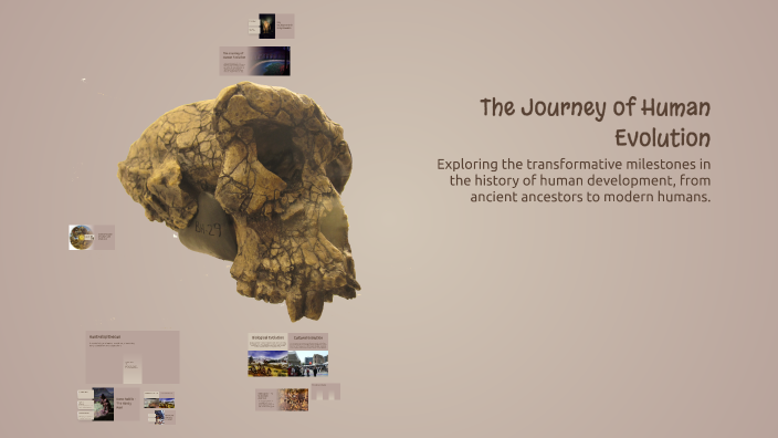 The Journey of Human Evolution by Kim Dy on Prezi