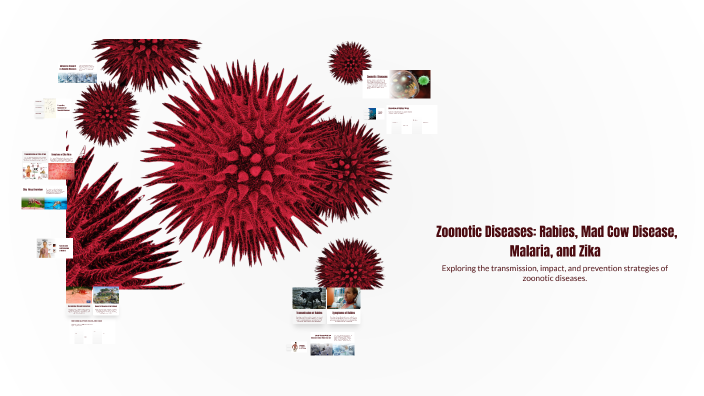 Understanding Zoonotic Diseases: A Focus on Rabies, Mad Cow Disease ...