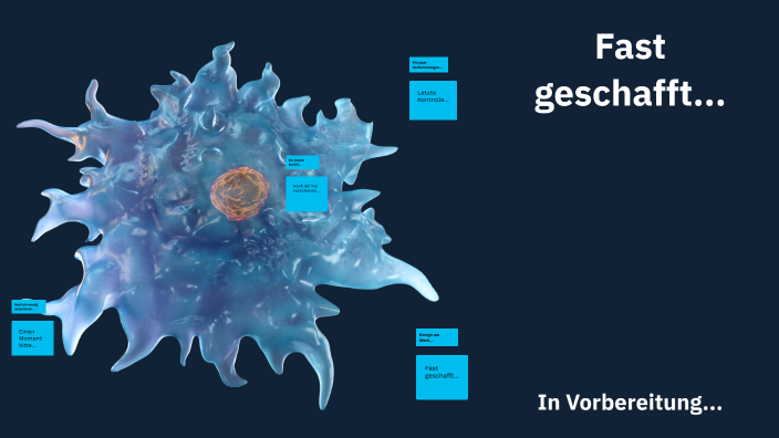 Basiskonzept Struktur Und Funktion Biologie Basiskonzept Struktur und Funktion by Nico on Prezi