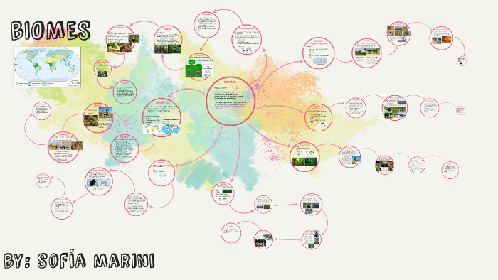 BIOMES by Paula Angeleri on Prezi