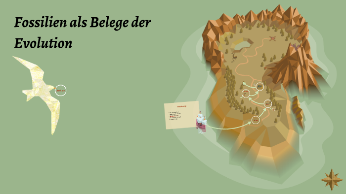 Fossilien Als Belege Der Evolution By Clara Budimir