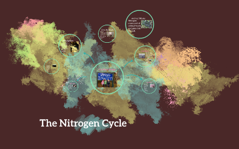 The Nitrogen Cycle by jenna homminga on Prezi