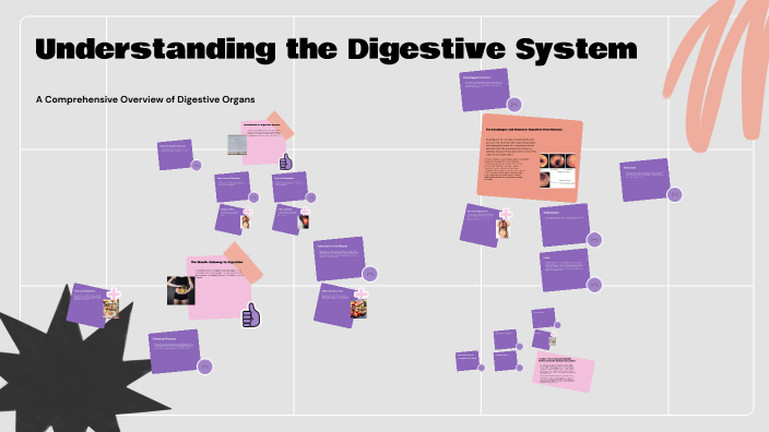 Understanding the Digestive System by Ryan Berryman on Prezi