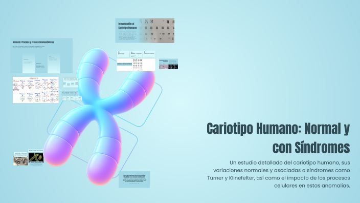 Cariotipo Humano: Normal y con Síndromes by Jesus Sosa on Prezi